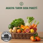 Yeni Kentlinin Ekolojik Yaşam Rehberi