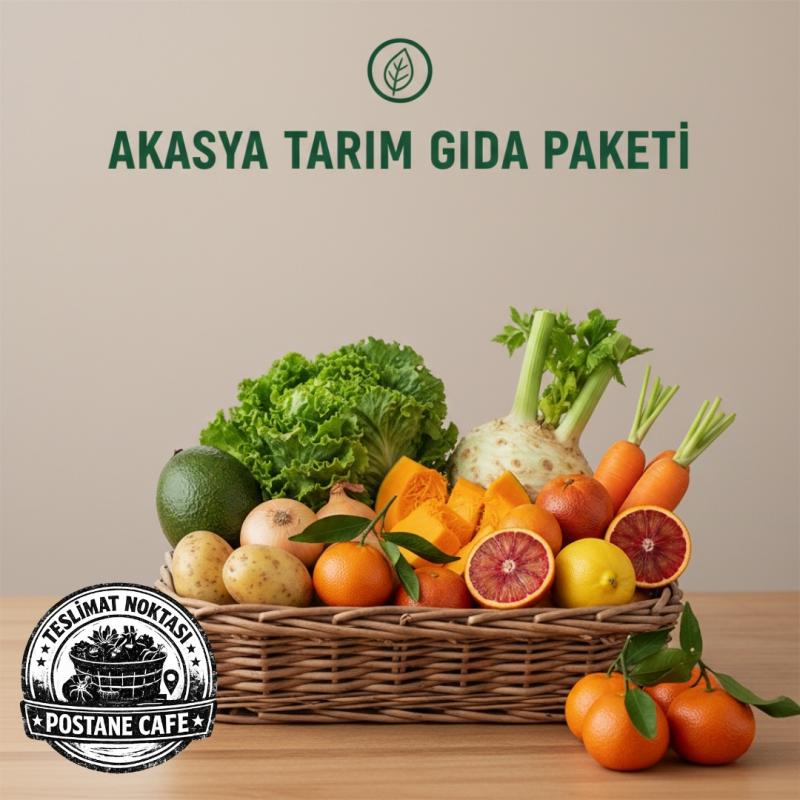 Yeni Kentlinin Ekolojik Yaşam Rehberi