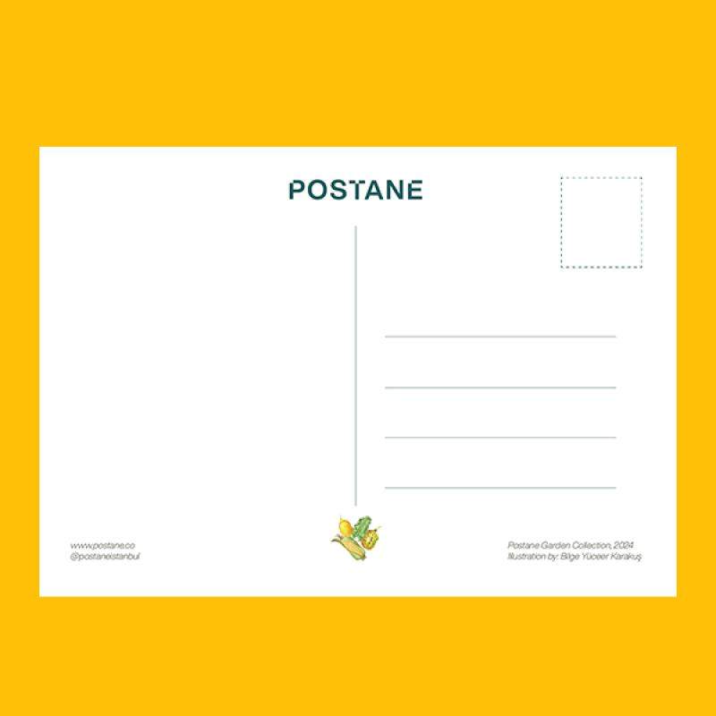 Kartpostal - Kavun