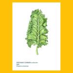 Kartpostal - Kale