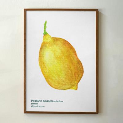 Mini Bitki Posteri - Limon